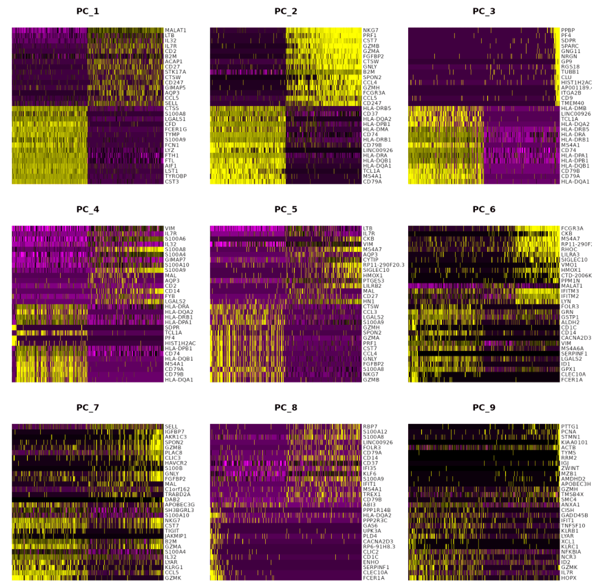 关于“数据的维度”(dims参数)的选择-香草杏仁