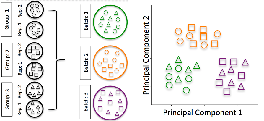 scRNA-seq%E7%AE%80%E4%BB%8B-HBC%20lesson%201%2067c78d1ea59d4cfeb9df4d9133ba9589/Untitled%204.png