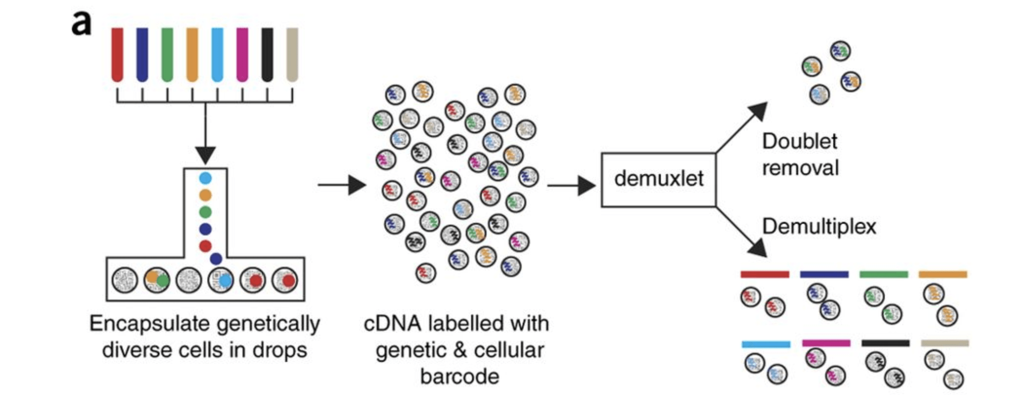 分析准备与读取数据-HBC lesson 3-香草杏仁