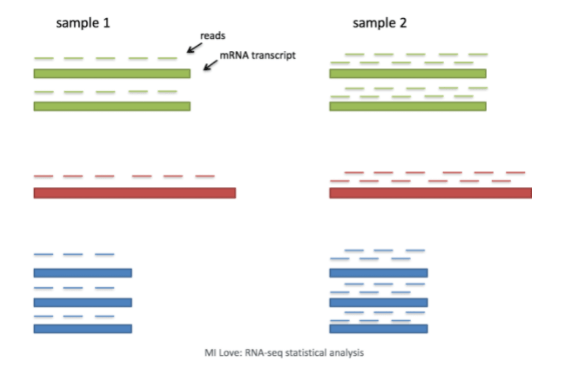 归一化与主成分分析-HBC lesson 5-香草杏仁