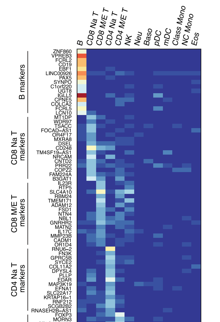 使用pheatmap可视化marker基因-香草杏仁