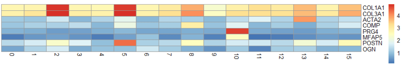 使用pheatmap可视化marker基因-香草杏仁