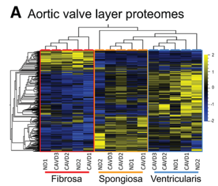 Spatiotemporal%20Multi-Omics%20Mapping%20Generates%20a%20Mol%206252042e00de408ba75fcd3a8677da57/Untitled%208.png