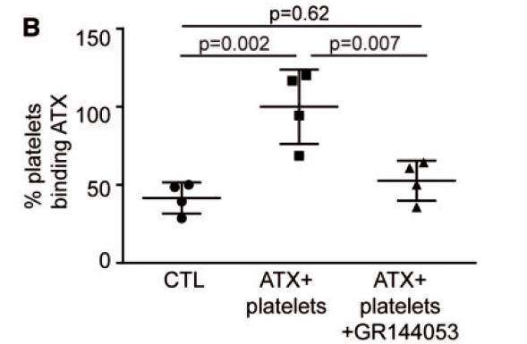 Activated%20platelets%20promote%20an%20osteogenic%20programm%20255b6a1b03bc4734b13a4e94a7841018/Untitled%2023.png