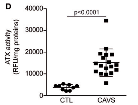 Activated%20platelets%20promote%20an%20osteogenic%20programm%20255b6a1b03bc4734b13a4e94a7841018/Untitled%2024.png