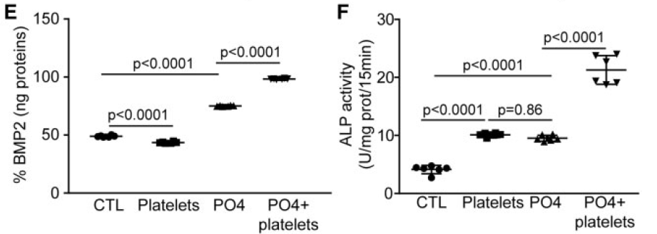 Activated%20platelets%20promote%20an%20osteogenic%20programm%20255b6a1b03bc4734b13a4e94a7841018/Untitled%2010.png