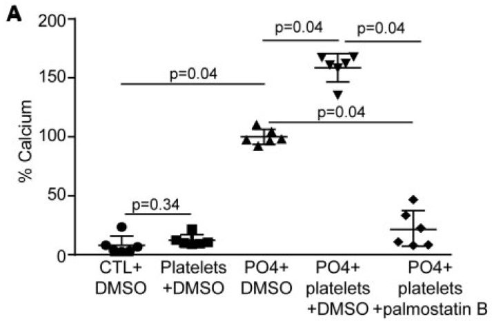 Activated%20platelets%20promote%20an%20osteogenic%20programm%20255b6a1b03bc4734b13a4e94a7841018/Untitled%2011.png