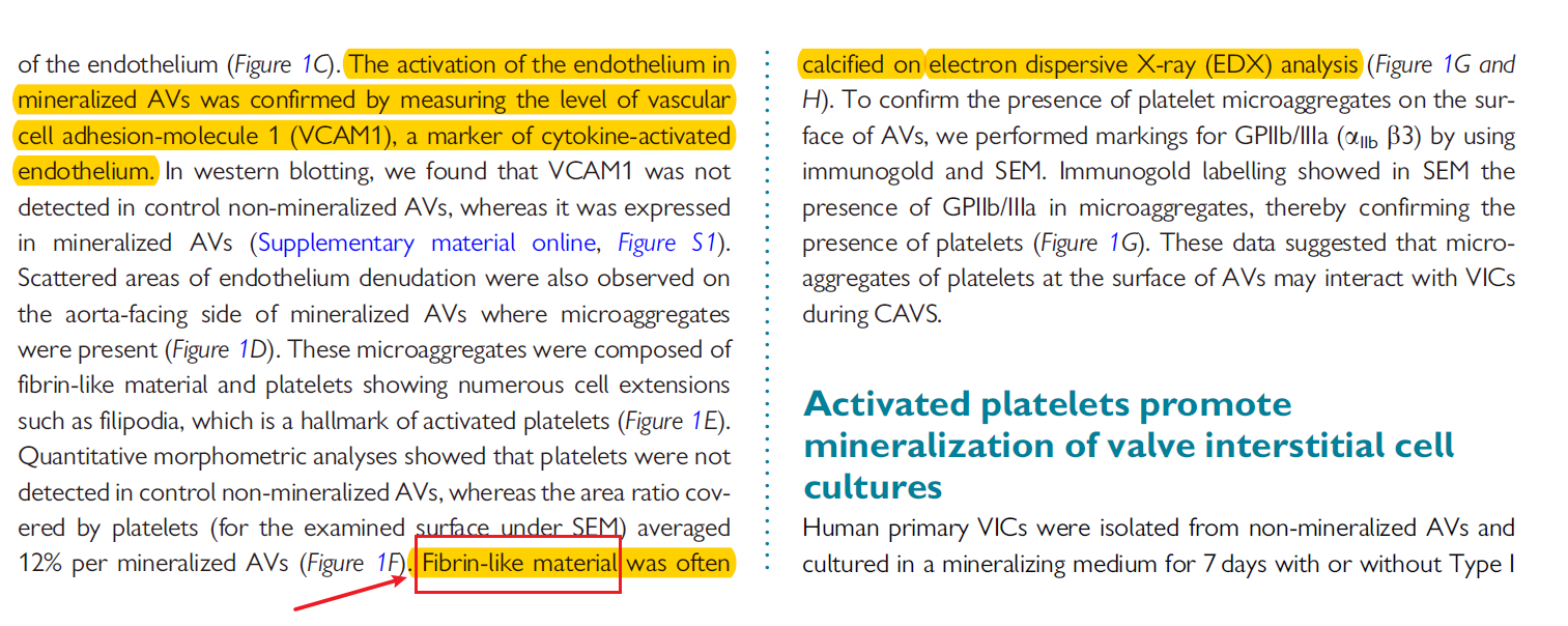 Activated%20platelets%20promote%20an%20osteogenic%20programm%20255b6a1b03bc4734b13a4e94a7841018/Untitled%204.png