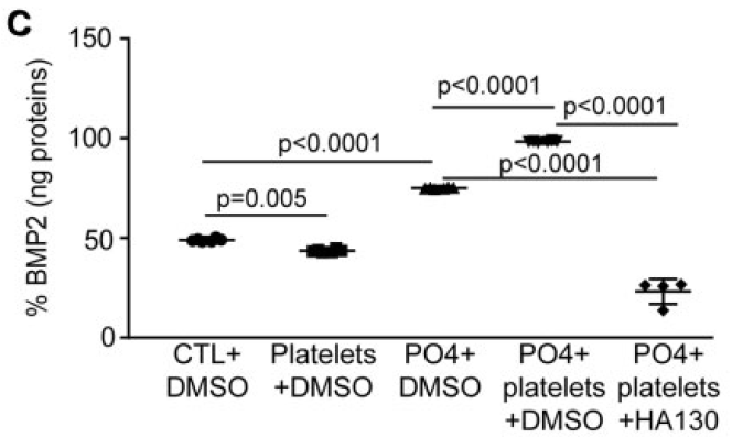 Activated%20platelets%20promote%20an%20osteogenic%20programm%20255b6a1b03bc4734b13a4e94a7841018/Untitled%2013.png