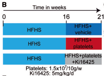vehicle表示注射了药物溶剂的对照组，也称溶剂组