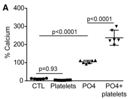 Activated%20platelets%20promote%20an%20osteogenic%20programm%20255b6a1b03bc4734b13a4e94a7841018/Untitled%206.png
