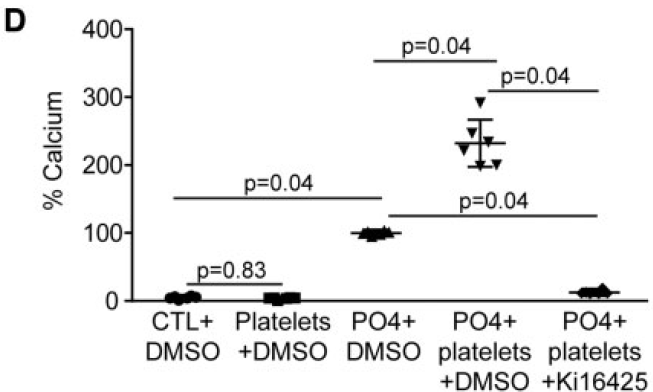 Activated%20platelets%20promote%20an%20osteogenic%20programm%20255b6a1b03bc4734b13a4e94a7841018/Untitled%2014.png