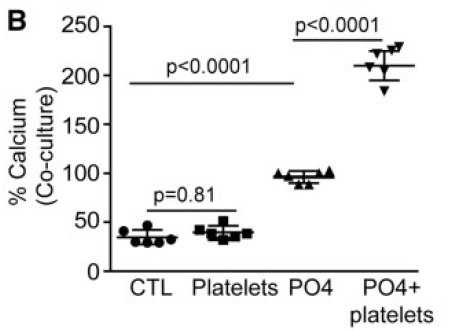 Activated%20platelets%20promote%20an%20osteogenic%20programm%20255b6a1b03bc4734b13a4e94a7841018/Untitled%207.png