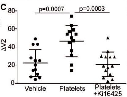Activated%20platelets%20promote%20an%20osteogenic%20programm%20255b6a1b03bc4734b13a4e94a7841018/Untitled%2028.png