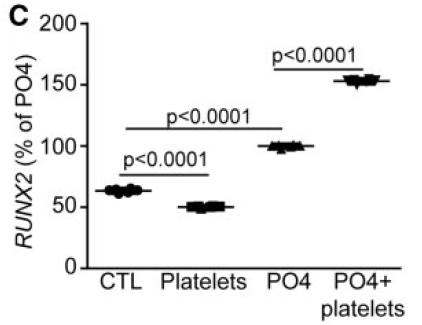 Activated%20platelets%20promote%20an%20osteogenic%20programm%20255b6a1b03bc4734b13a4e94a7841018/Untitled%208.png