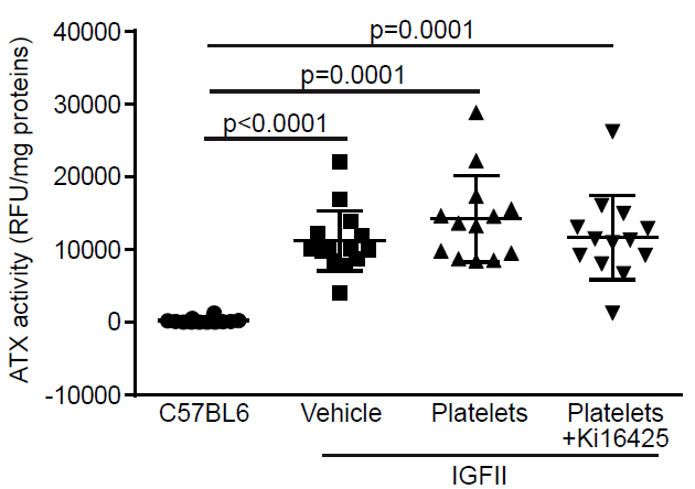 Activated%20platelets%20promote%20an%20osteogenic%20programm%20255b6a1b03bc4734b13a4e94a7841018/Untitled%2029.png