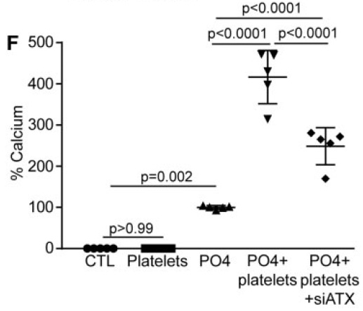 Activated%20platelets%20promote%20an%20osteogenic%20programm%20255b6a1b03bc4734b13a4e94a7841018/Untitled%2016.png