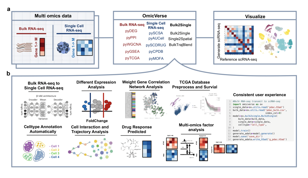 安装omicverse docker版-香草杏仁