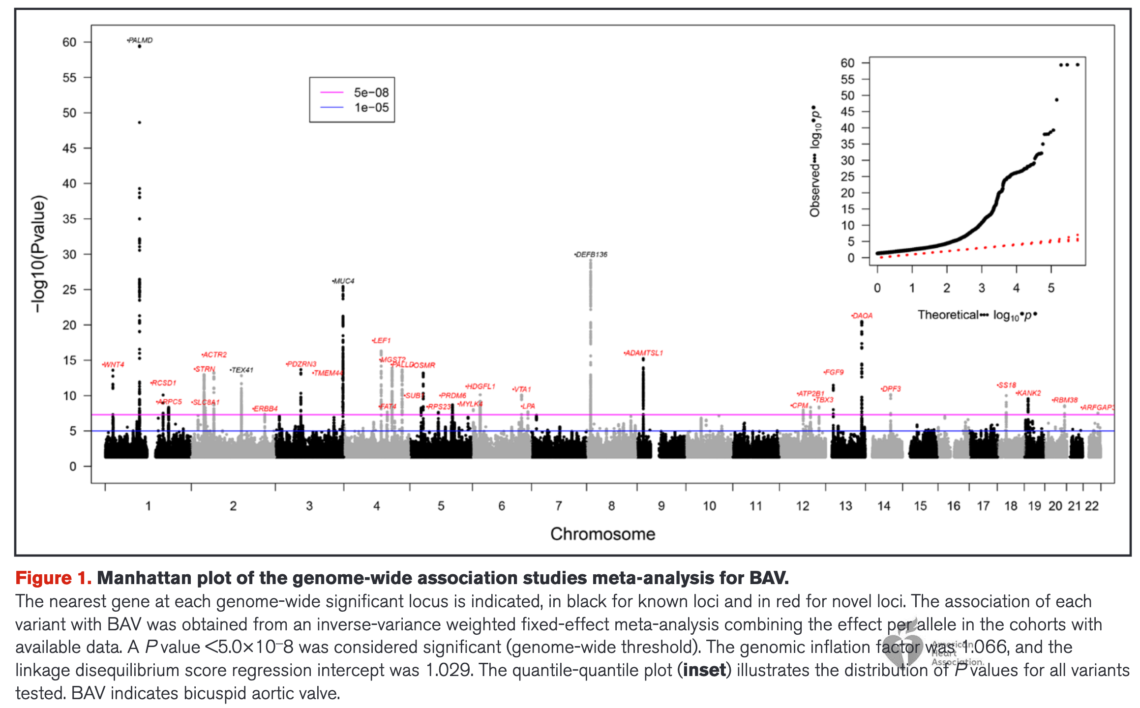 Circulation:二叶式主动脉瓣的基因组与转录组学研究-香草杏仁