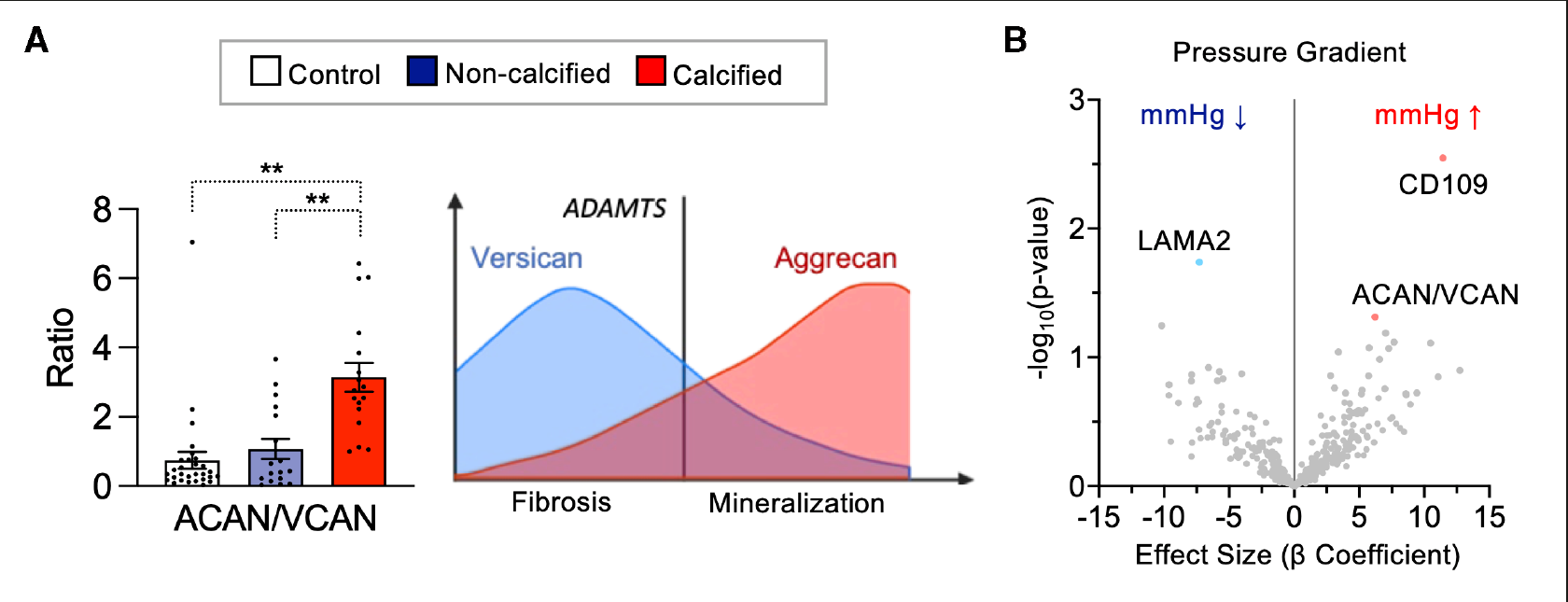 Figure 3A–B:ACAN/VCAN 比值及其与跨瓣压差的关系