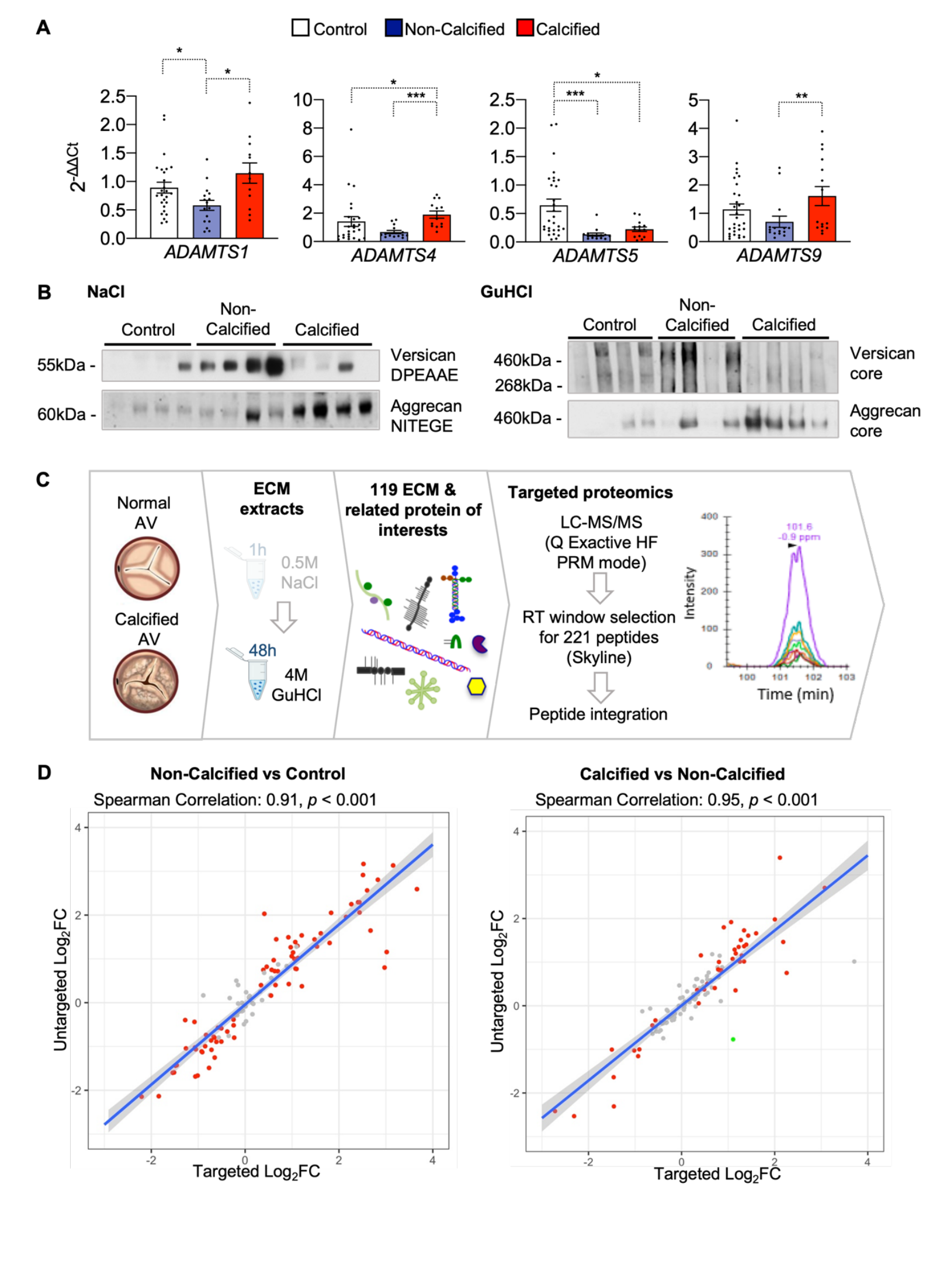 Figure S3:ADAMTS 表达、切割产物及靶向质谱验证