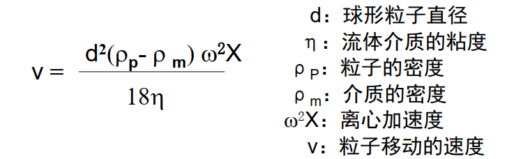 image-20210619162850311