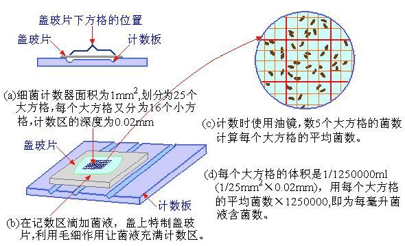 image-20210619181319371