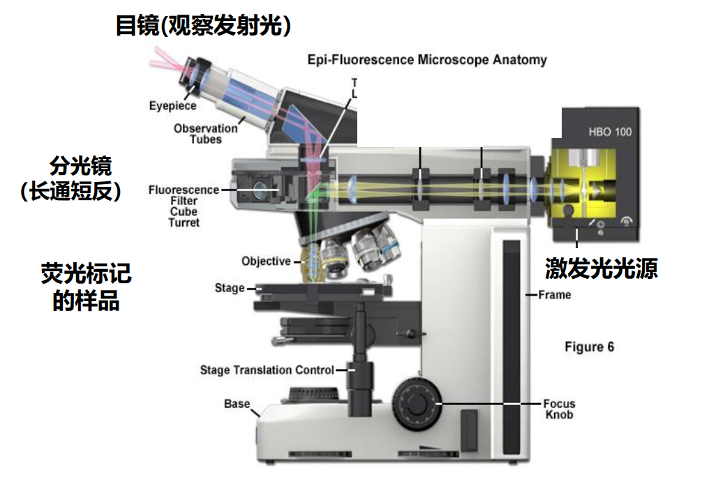 image-20210619203325512