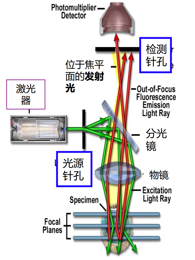 image-20210619204049857