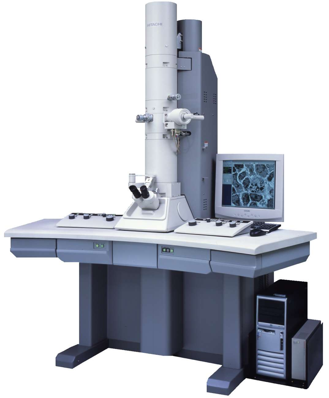 电镜技术-香草杏仁