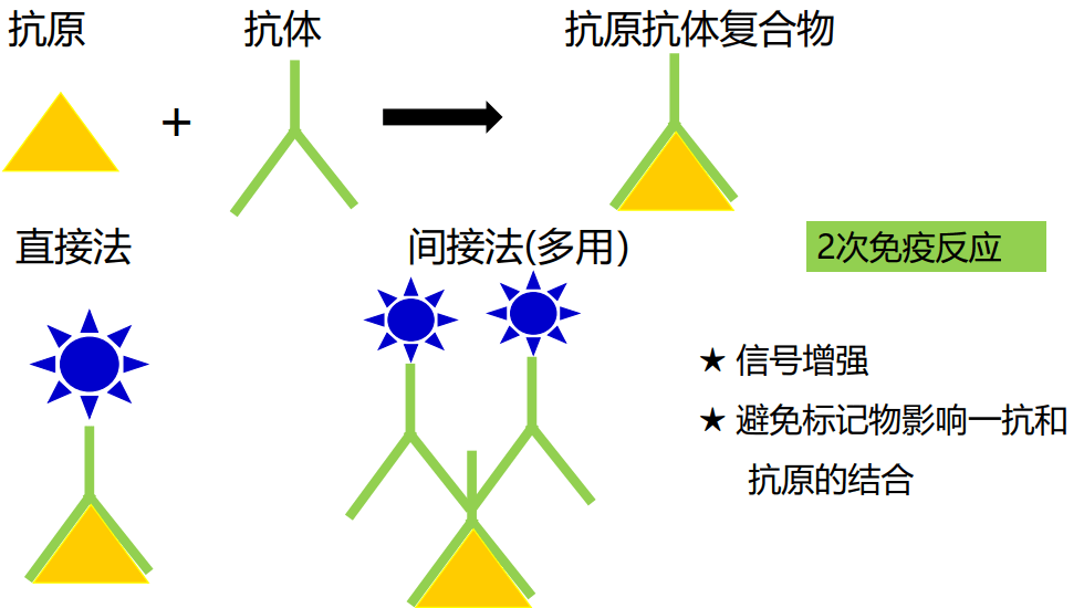 image-20210619222802766