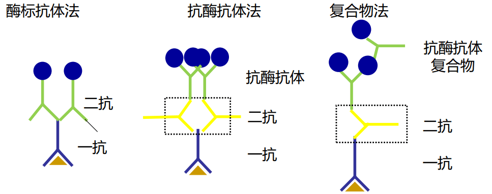 image-20210619224010583