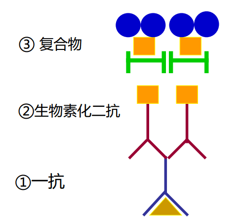 image-20210619224318362