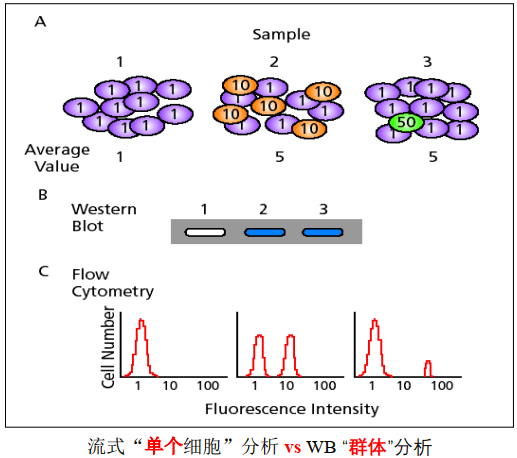 image-20210619231744036