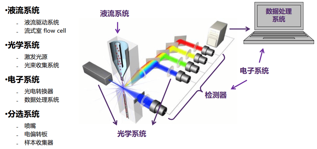 image-20210619231901475