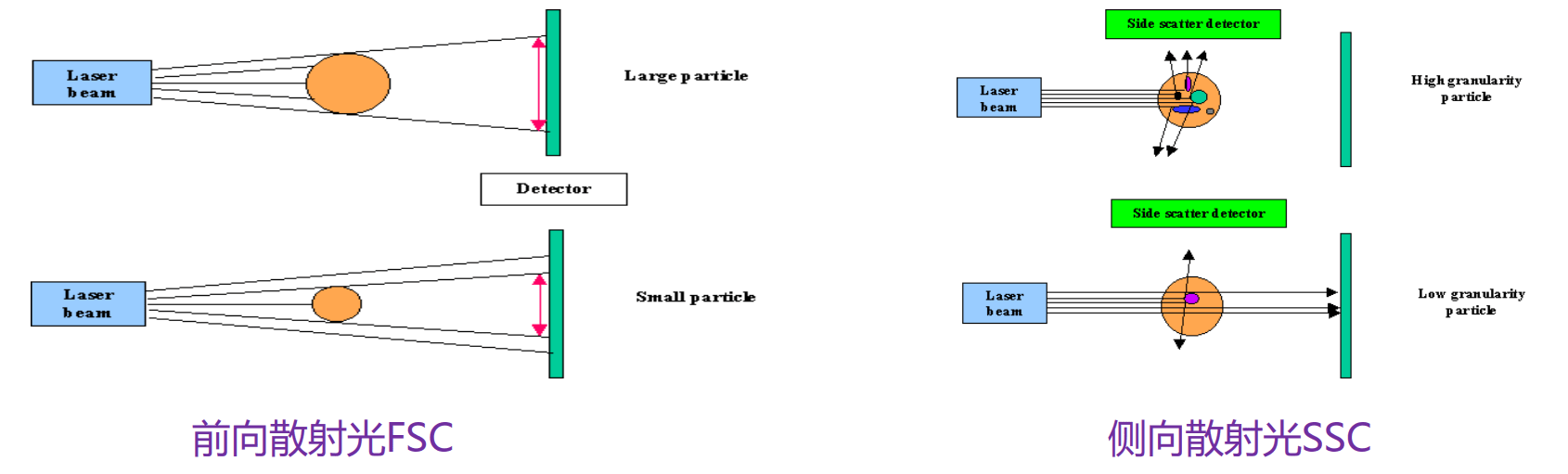 image-20210619233023260