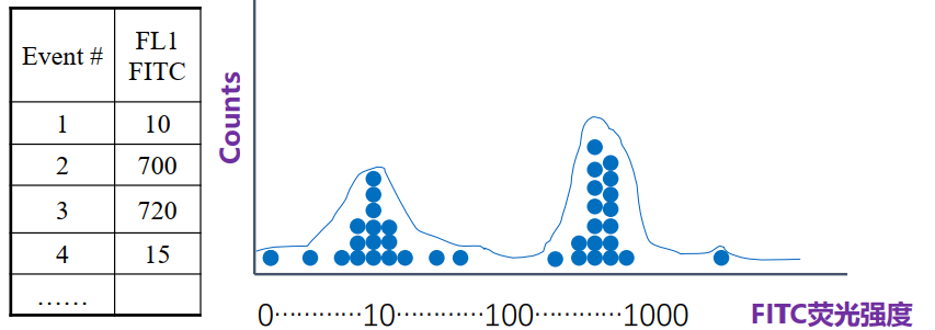 image-20210619233742734