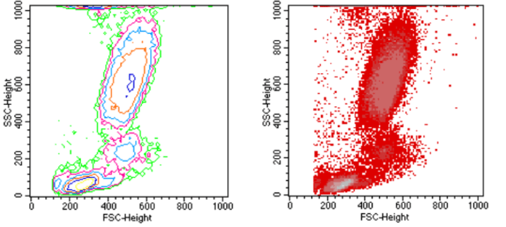 image-20210619234020998