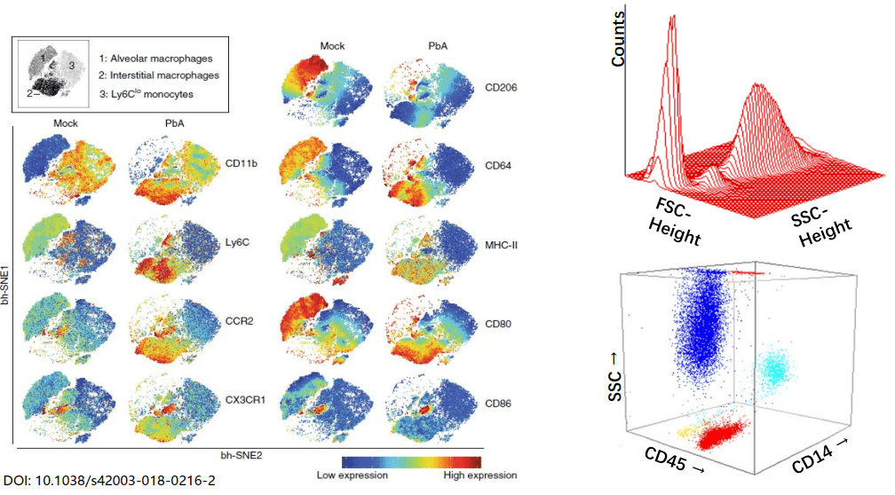 image-20210619234328017