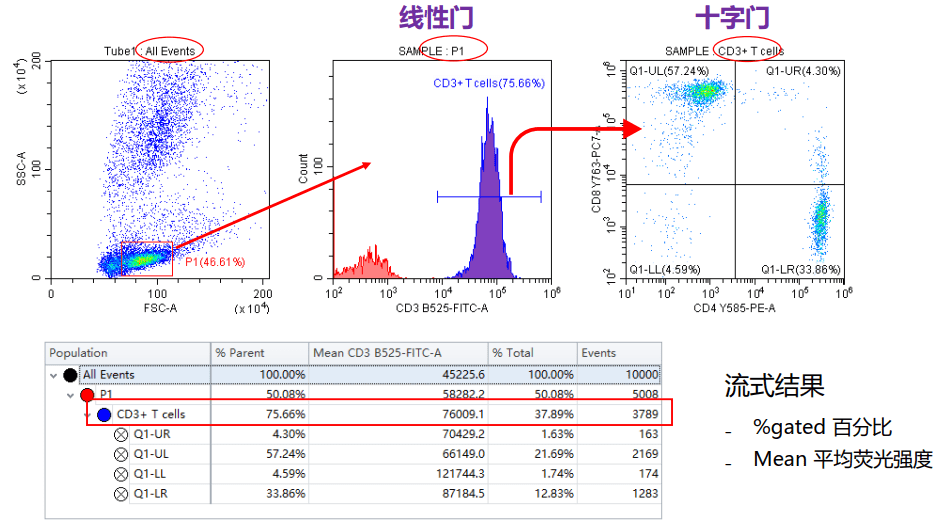 image-20210619234457248