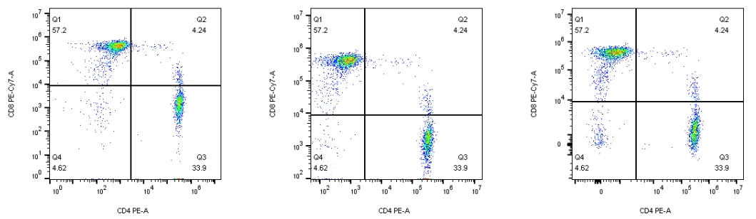 image-20210619234628363