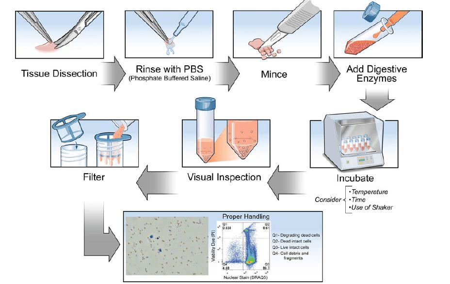 image-20210620002644560