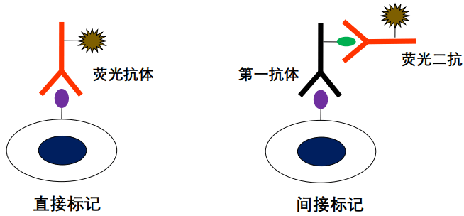 image-20210620003113140