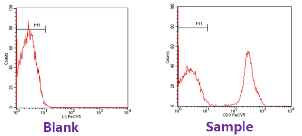 image-20210620004024867