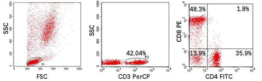 Human PBMC免疫细胞分型  