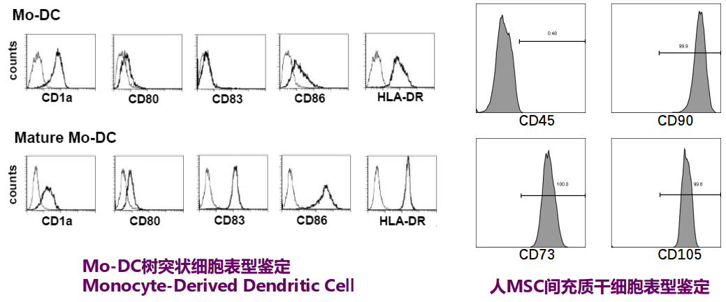 image-20210620005832119