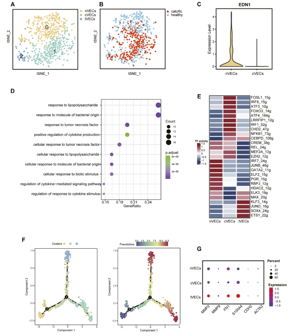 图片[3]-Midkine Prevents Calcification of Aortic Valve Interstitial Cells via Intercellular Crosstalk.-香草杏仁